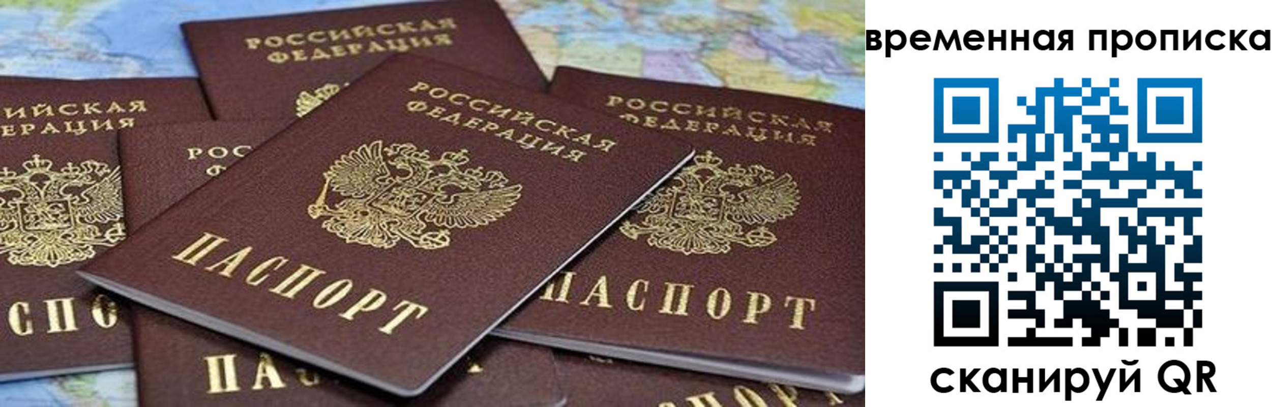 прописка в квартире в Гатчине
